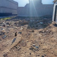 ٢٠٠م • طابو زراعي • بعقوبة برغه