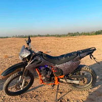 قفاز • جبلي • ٢٠٢٤