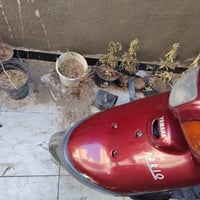 ابريو • ياماها • عاطلة