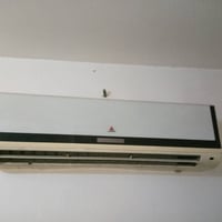 سبلات • شغال • بابل الهاشميه