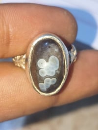 سليماني • عيون • ٥٥