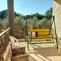 ٩٫٥فدان • زيتون • العلمين