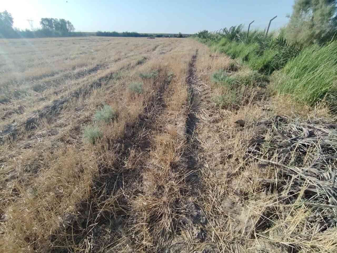 ٤دوانم للبيع كوت طريق عماره ميسان منطقة البيضاء طابو زراعي ١١٧قريبات جدأ ع شارع لهن شارع خاص بيهن خدمات ماء كهرباء مدارس حصه روائيه لهن يحتون ع 50نخله مثمره الارض حلوه وصالحه لزراعه سعر ل4دونم 45مليون وبيهن مجال بسيط جدأ


**إذا كنت صاحب هذا الإعلان وتريد حذفه لأي سبب، رجاءا أرسل رسالة إلى الدعم الفني**