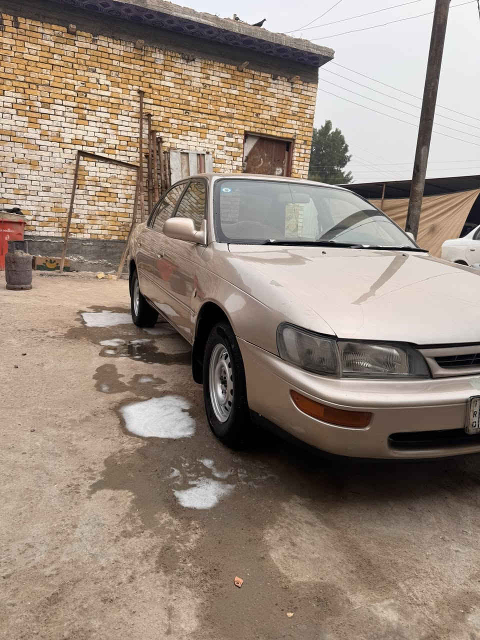 سلام عليكم للبيع كورلا ١٩٩٣ مكفوله من الضربه ولكص ونقل جثه ولعيب الشرعي رقم بصره دولي مشروع وطني بسمي حداديه تخم تاير سياره جاهزه سعر ٦٣، مكان سيارة ناصريه سوك شيوخ للاستفسار ***********
