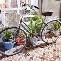 بايسكل • حجم ٢٧ • المقدادية شهربان