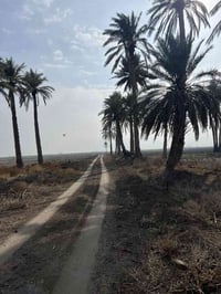 🌟 دوانم راقية الك ولعائلتك 5نجوم🌟  🔍 تبحث عن الهدوء والابتعاد عن زحمة ...