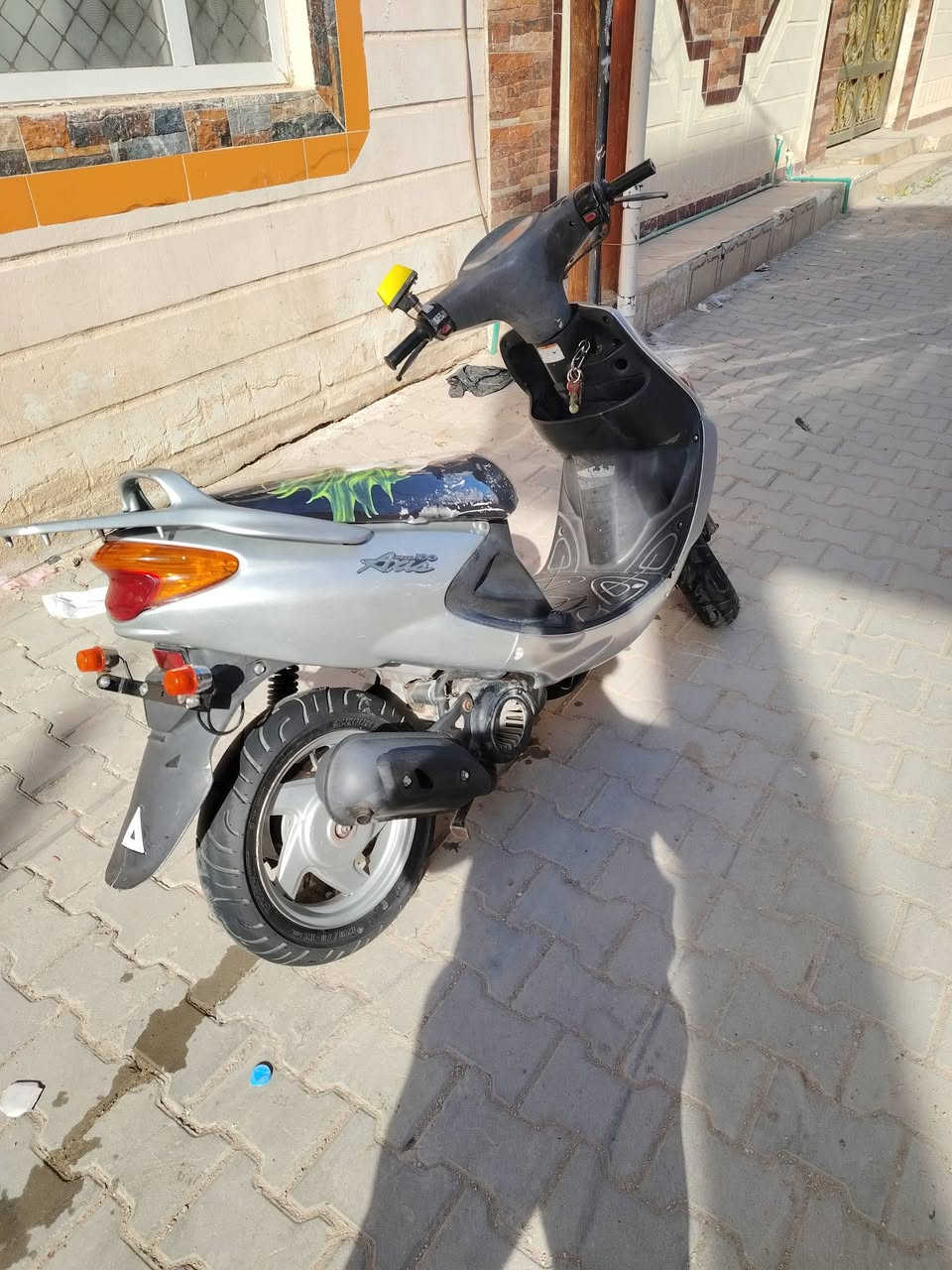 دولفين للبيع مفتوحه الستفسار عل رقم ***********
