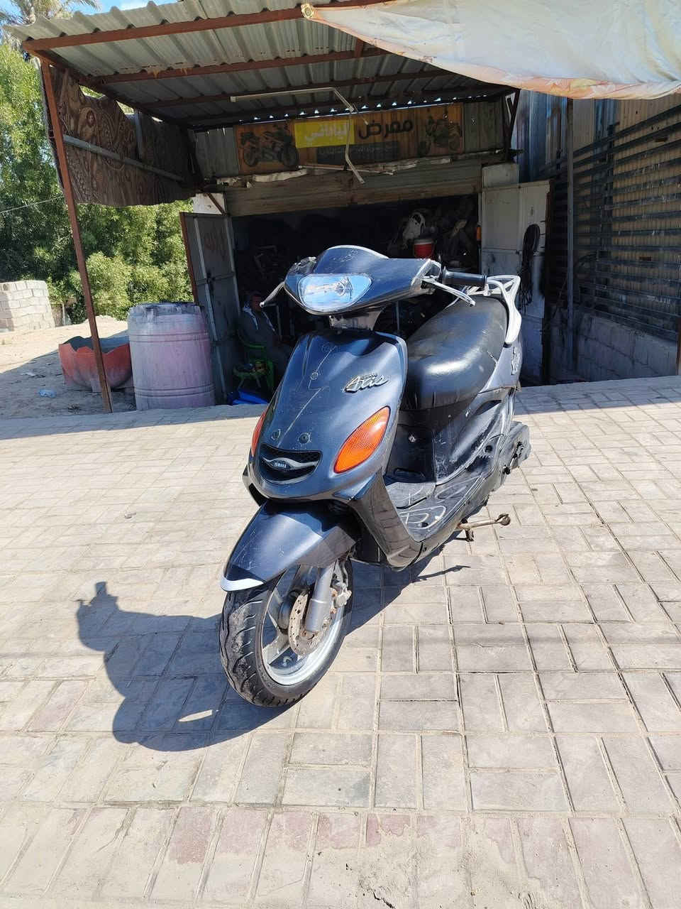 دراجه دولفين للبيع السعر ٤٥٠ وبيهه مجال الشراي يتصل عل الرقم *********** مكانهه السماوه كرهبايات شغاله سلف هندر مكينه ناعمه
