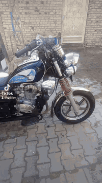 فحل جمره • موديل ٢٣ • كوفه