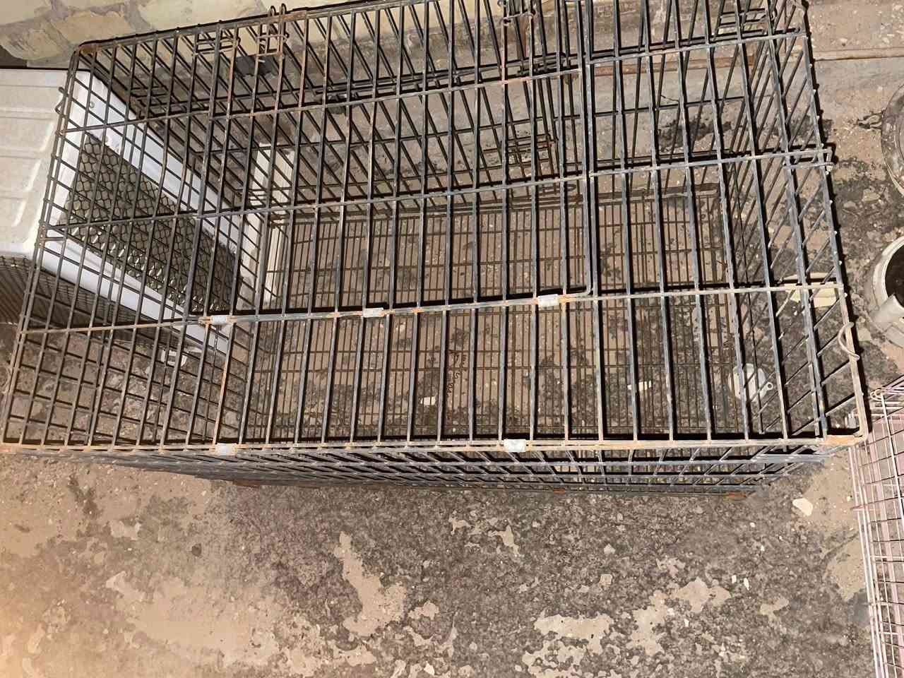 قفص حديد عدد2 

‭***********‬

