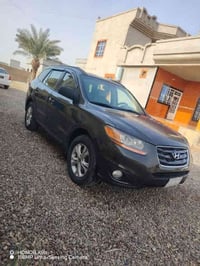 سنتافي ٢٠١٠ • فول • امريكي