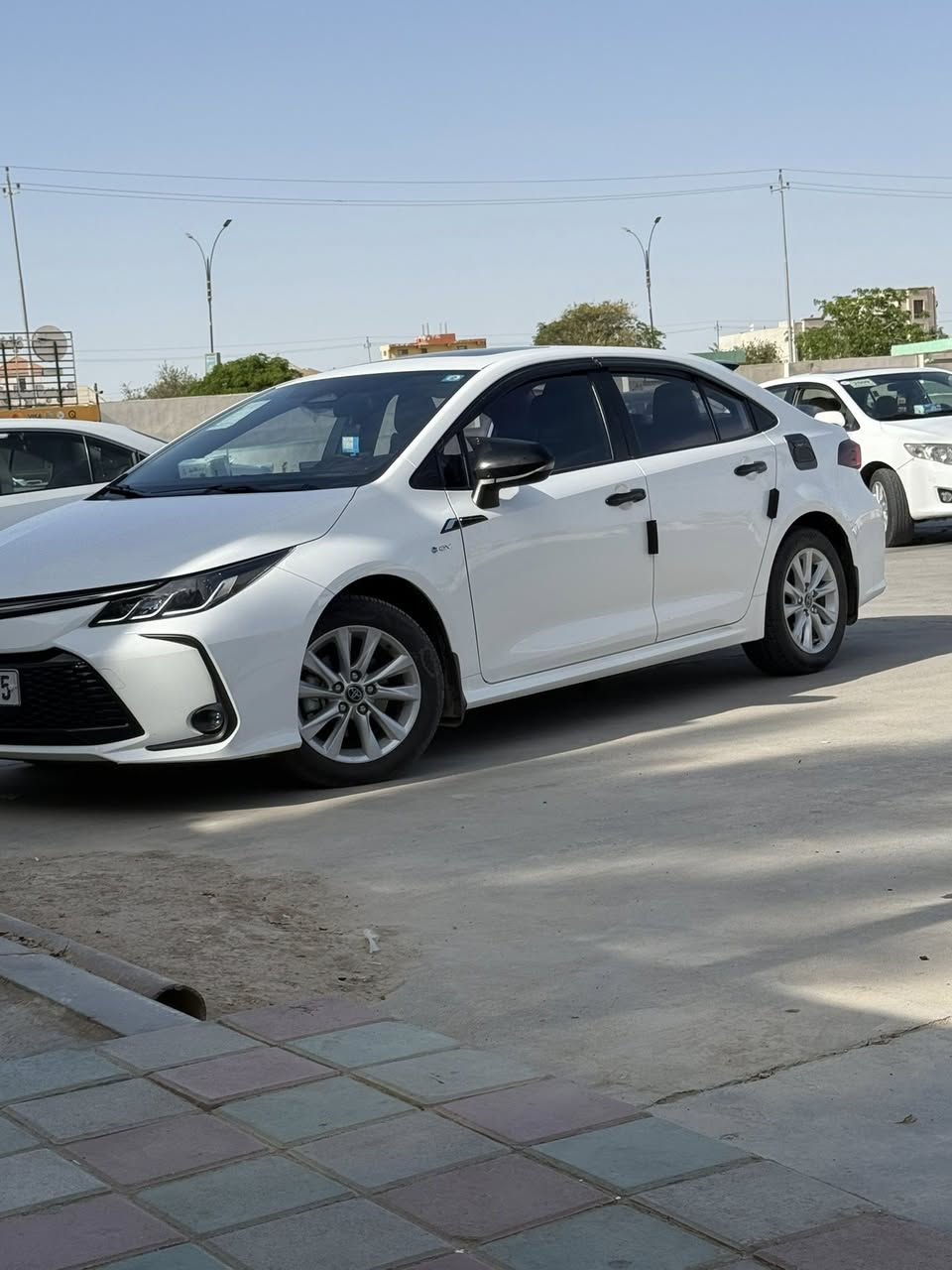 مكفوله كفاله عامه رقم بغداد ماشيه 20 الف مراوس ب كورلا ساز او بيع


**إذا كنت صاحب هذا الإعلان وتريد حذفه لأي سبب، رجاءا أرسل رسالة إلى الدعم الفني**