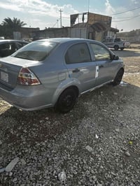 خليجي • مكفولة • ٢٠١٣