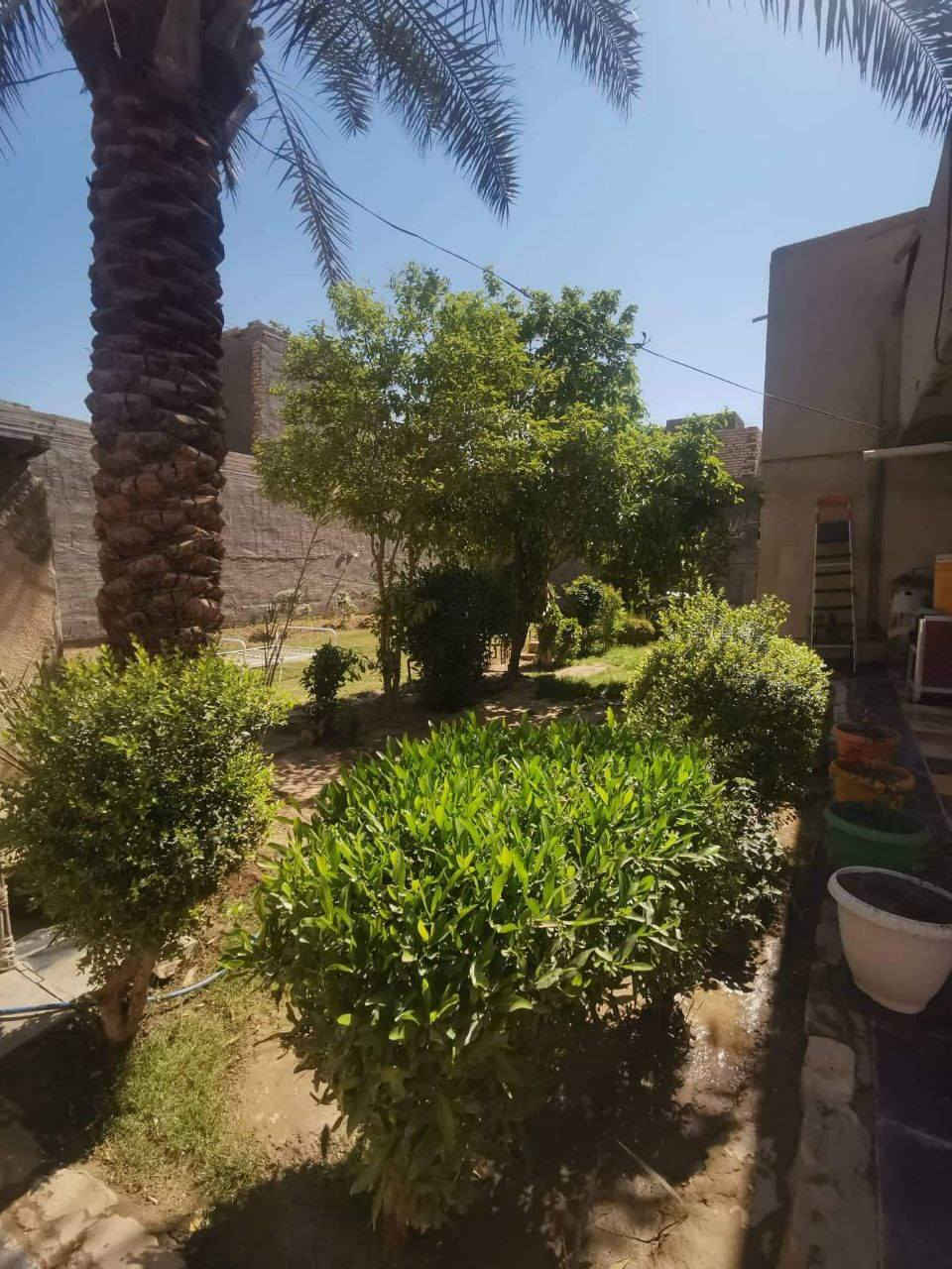 بيت للبيع مساحه 450متر طابو صرف مع نفس قطعه مجاوره سند واحد بناء قديم 2005 كاونكريت غرفتين وصاله وستقبال مطبخ حسب ماموضح بالصوره (حله ابي غرق خلف محكمه شارع تبليط يبعد عن البيت 10مترات +واقع بين مدرستين متوسط +عداديه بنات )سعر 165 بيه مجال ‏‪078-878-26380‬‏
