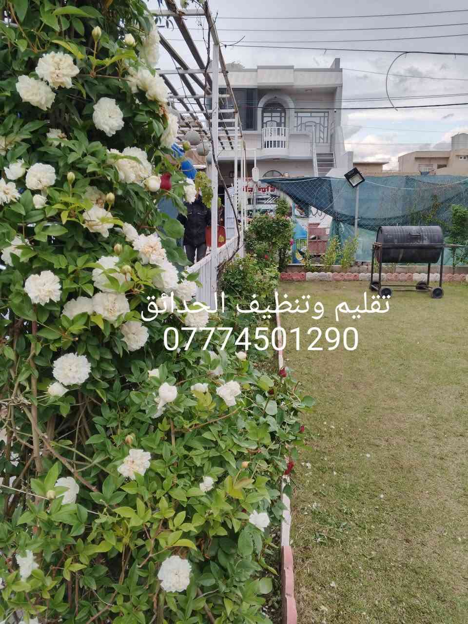 تنظيف حدائق تقليم الاشجار
تصميم وديكورات حدائق  
زراعة الاشجار والشتلات والورود والثيل بأنواعة هندي إيطالي 
ورقي فرنسي 
فرش زميج ترميم الحدائق القديمة وكل ما يخص الحدائق كركوك اقضية ونواحي 
*********** اتصال 
*********** واتساب

