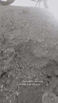 دراجه هاوجي موديل 2023 بعده زيرو مسجله سنويه ولوحات نكليزي وسعر 18✔️ ***********
