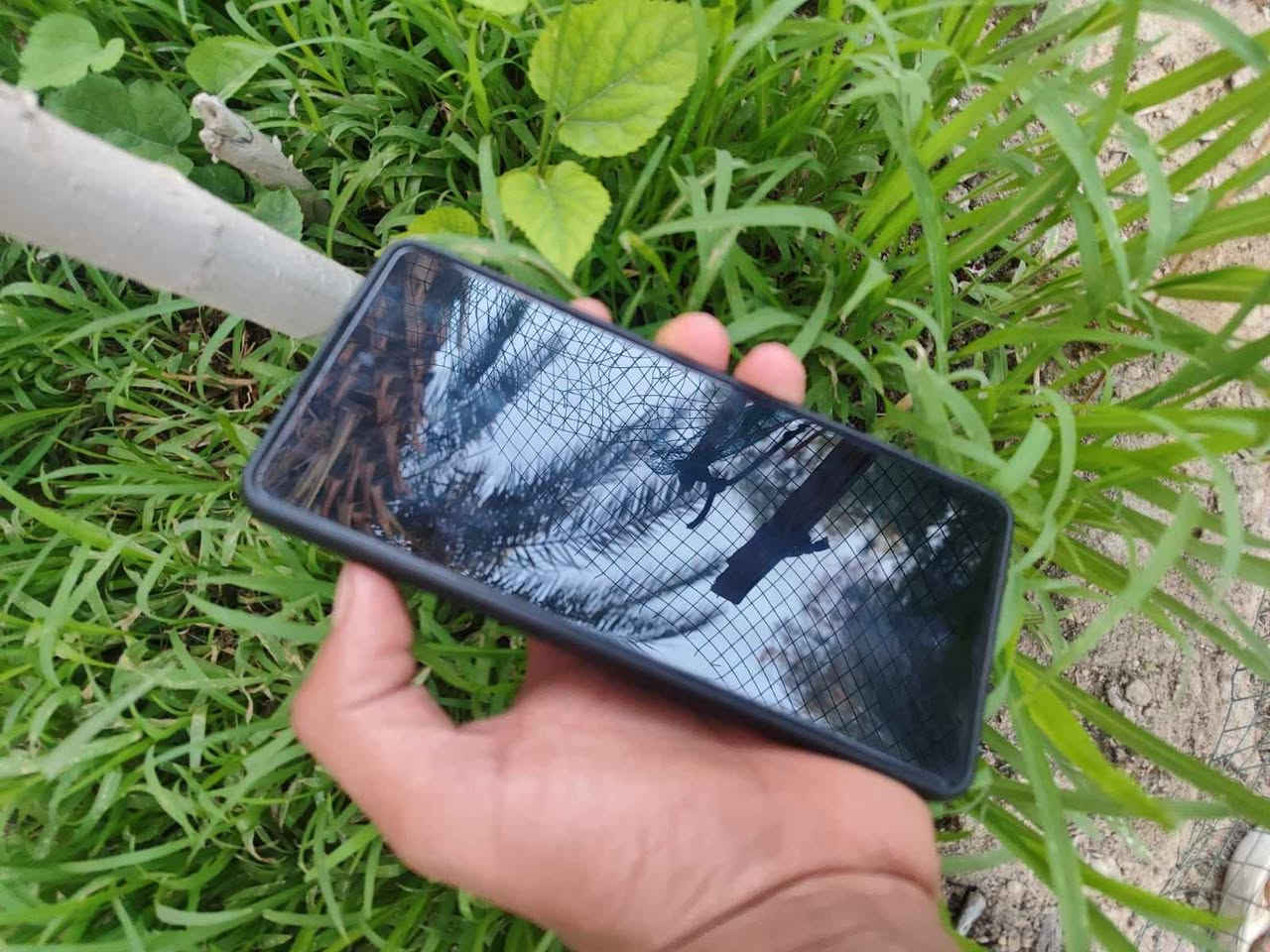 السلام عليكم  تكنو كمون 30 جهاز نضيف يخبل فقط بي فطر بل ضهر وما ماثر ابد الذاكره 256 الداخليه 16 أي تصليح ماداخل مراوس ب ايفون كربلاء, العراق


**إذا كنت صاحب هذا الإعلان وتريد حذفه لأي سبب، رجاءا أرسل رسالة إلى الدعم الفني**