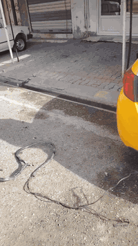 سلام عليكم منظومه غاز كامله للبيع
ما احبها بالسياره ف علمود هذا طلعتها  الي يريد يخابرني و يتدلل
***********
