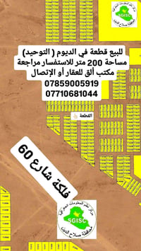 الديوم التوحيد • ٢٠٠م • ١٠×٢٠