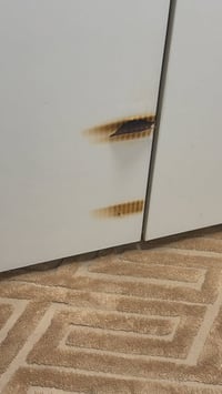 غرفة نوم • كنتور ٤باب • بضرر