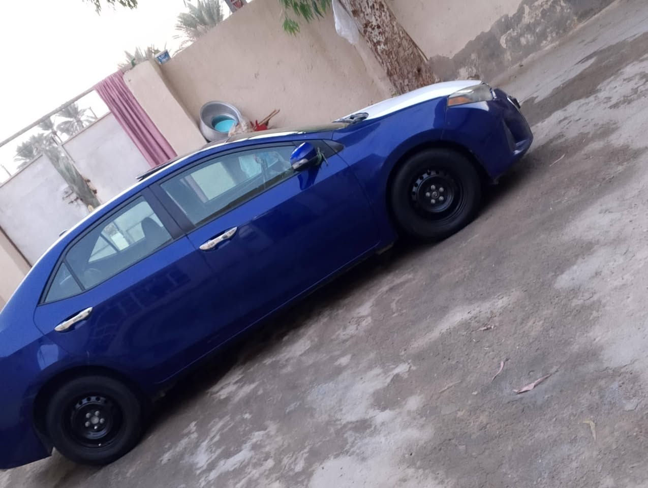 كورلا للبيع فقط بدون مراوس موديل 14فول مواصفات فئه S معرفوفه  مواصفات Sفتحه بصمه تحكم جهتين شفتات شاشه كامرا داخل ملكي بصمه أبواب وبصمه جنطه ترحيب محرك 1800كفاله كير محرك تبريد حداديه تخم تاير سياره جاهز ه من كلشي رقم بابل باسمي سنويه ل28 سياره استخدام شخصي ماشيه150 مكاني بابل 
***********
