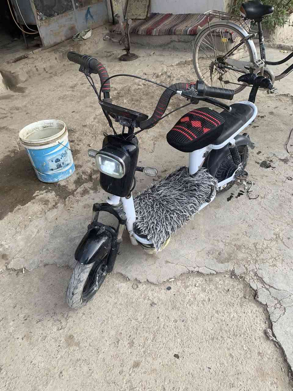 السلام عليكم
خوان باسكل شحن للبيع موديل ٢٤ الباسكل كلة شغال والباسكل مال جناي وكلش معتني بي البطاريات كلهن جدد قبل اسبوعين شديتهن يقرن ١١رايدة ب١٦٠ وبي مجال بسيط حك جيتك عنواني ديالى بعقوبة فلكة الامين للتواصل خاص او على الرقم ***********
