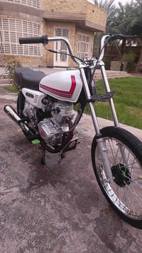 رابيدو • اوراق اصلية • ناحيه النيل