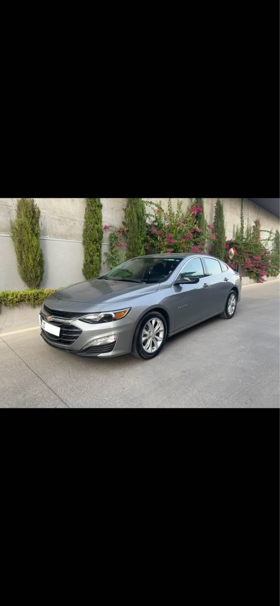 شۆفلێت مالیبۆ – مۆدێل 2023

بێ بۆیاخ و بێ گۆڕاو و بێ ئێرباگ
دەعامیشی بۆیاخ نییە، سۆنەر و ڕەقەم شاصي داناوە
                                                   1g1zd5st6pf231615
پێش و پشتی کەپسە

مواسەفات:LT
بەسمە / شەغال
کوشن کارەبا
کامێرا
فۆلی ئەوتۆ
ڕاداری پێش
ڕاداری خەتی جادە
تەبرید لەسەر شاشە
برێکی کارەبای
داتاشۆی ڕادار

سەنەوی و هەزە و هەموو شتێکی تازەیە تا ٢٠٣٠
بە ناوی خۆمەوەیە 

ڕادار، بەردی سالنسا، ڕادێتەر هەموو گیانی بیلادە

سەیارەکە بێ مەسرەفە و هەموو شتێکی بەشەرت
کەتەلۆک و گاعی شەریکەی لەگەڵە

نرخی 13,700$ گەڵا و معامەلە

ژ.م/    *********** السليمانية, العراق
