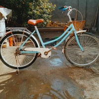 باسكل • حجم 26 • الحله بكرلي