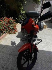 دايوان ماكس2023 كفاله رقم وسنويه انكليزي بسمي 07711160601