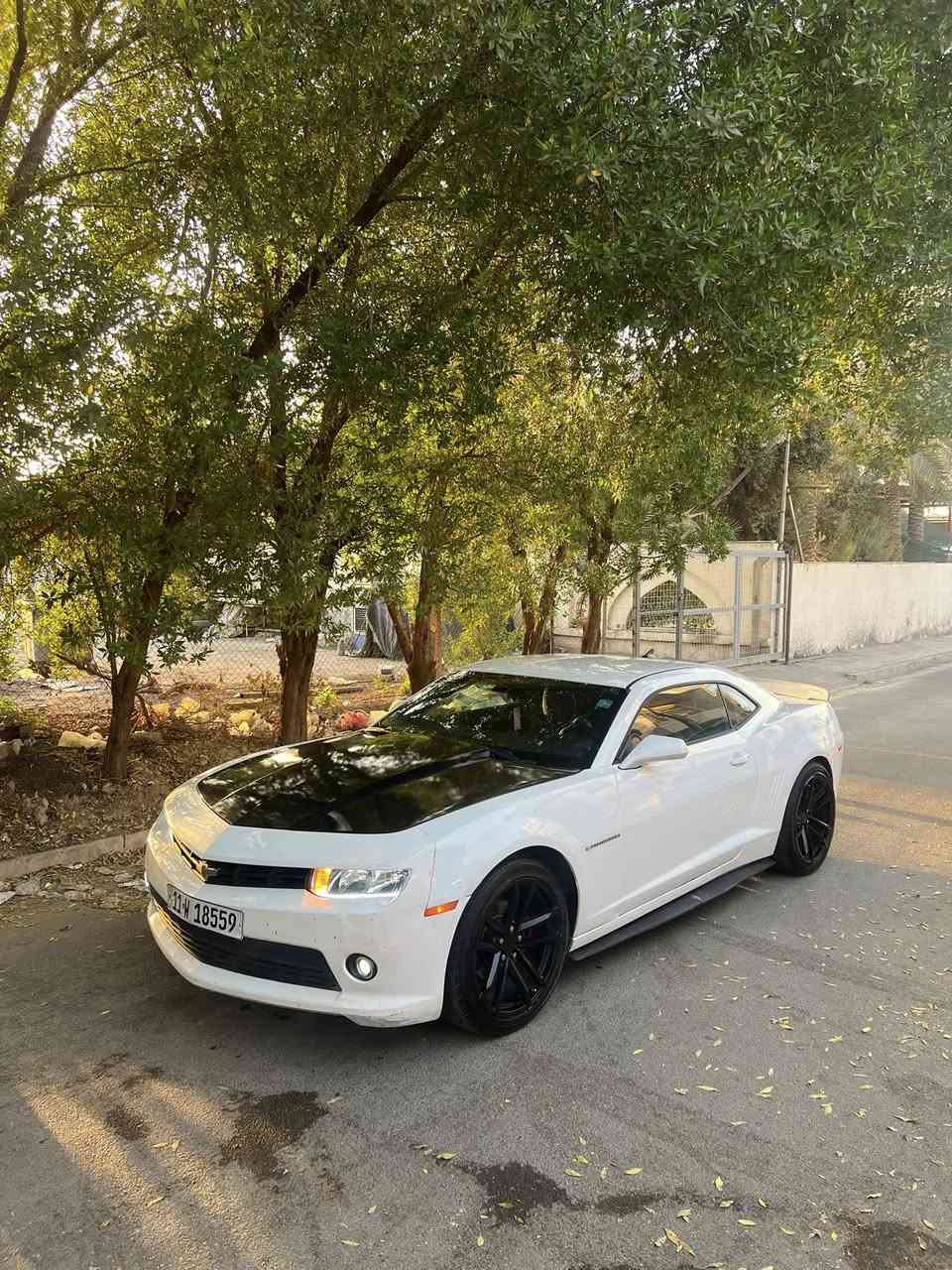 كمارو ٢٠١٤  للبيع
حادث مالته جاملغ امامي يمين وبيها صبغ ٣ قطع 

رقم بغداد الجديد

سنويه لحد ٢٠٢٩

مكينه جديده قبل يومين شديتها 

نوزلات جدد 

صدر امامي جديد

تايرات بحاله ممتازه 

سعر ١٠٥ بيها مجال من تيجي وتشوف سياره

مكاني اليرموك الداخليه

***********
