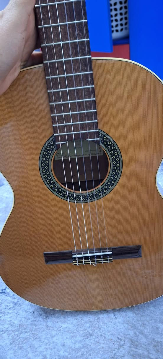 كيتار للبيع كيتار اسباني الهامبرا للبيع c1  بي ايكولايزر اصلي) سعر الجديد بل محلات ٦٣٠ الف بدون ايكولايزر ومو نفسة هم لان من اسبانيا دازي .سعر البيع ٤٠٠ الف وبي مجال ويا جنطة و ثنين كابو و كيبل جك يوجد توصيل الكيتار صناعه يدوية الي يحب يسمع صوته يعلق ادزلة صوته


**إذا كنت صاحب هذا الإعلان وتريد حذفه لأي سبب، رجاءا أرسل رسالة إلى الدعم الفني**