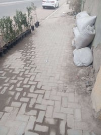 حراثة • احواض نخل • ابو الخصيب