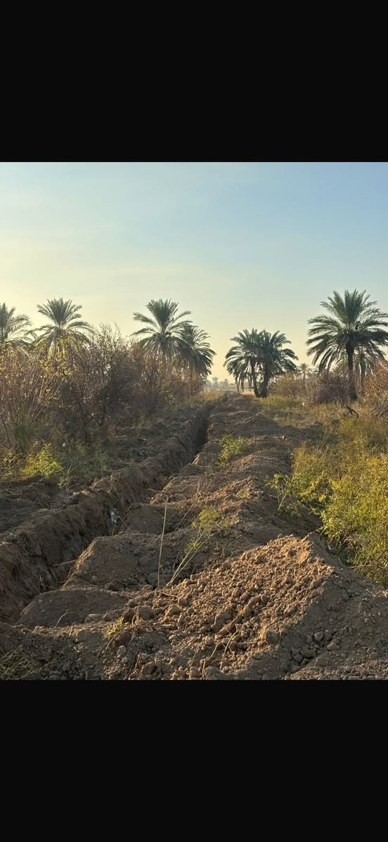 السلام عليكم
أراضٍ للبيع (ملك صرف – سند 25)
📍 الموقع: شاطى التاجي – المزرفة
⚡ الخدمات: ماء، كهرباء
🛣 الشارع: تبليط
📝 التحويل: مباشر بدون دلالية أو وسيط

📐 المساحات المتوفرة:
• 250 م²
• 500 م²
• 1000 م²
• 2500 م

☎️ اتصال أو واتساب

***********
***********
