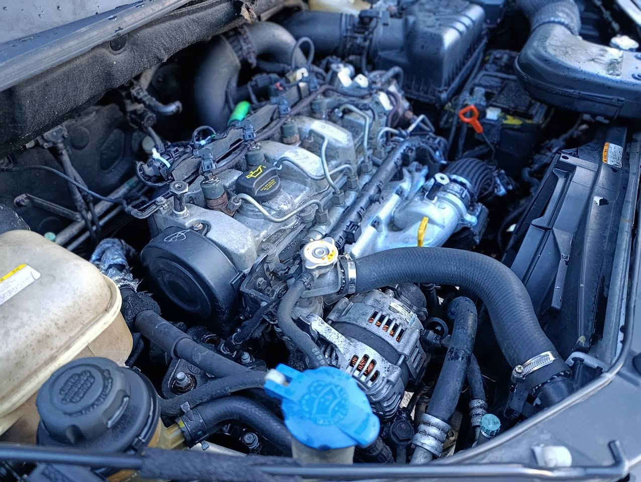 🔴 هۆندا تۆکسۆن بۆ فرۆشتن -  لەڕانیە
هۆندا تۆکسۆن 2007
گازە 📢⛔
بڕاوە بڕاوە
چوار جام کارەبا
کووشنەکانی داوە کامل تەخت ئەکرێن
کوشن هیتەو جلد
ئاوێنە کارەبا
دەبڵ گێر  بەشەرت
چوار تایەی تازە
چاڵو شوخت و قوپاوی نیە
گشت گیانی بەشەرت
کامل جاهیز
لێدراوی نییە سەیارەکە
سەیارەکە له ڕانیە 
***********

ڤایبەر واتسئاپ.
