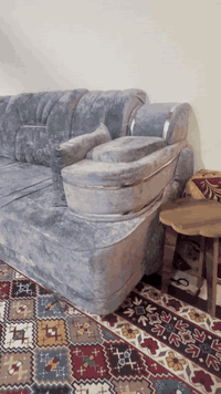 السلام عليكم تخم ديوان  جديد غير مستخدم 
درجة أولى 
تخم ماصارلة أسبوع محد ماعد علية 
تخم مقعد بلاويد 18ملم 
سفنج ظقط عالي والقماش فرو 
7متر وليس 6متر  10 مقعد 
بي وصل ظمآن سنة كاملة. اي خلل يصير بي كسر خلع أو يتصلح أو يتبدل بي وصل من صاحب المعرض بل حكيمية 
السعر 400بي مجال قليل كلش وتوجد خدمة توصيل 
العنوان خمس ميل 
***********
***********
