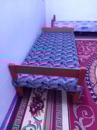 سده الهندية العلكاية • ٢ جرابين • مستعملات