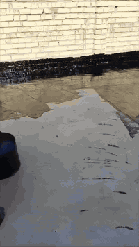 تعلن سكله المنكوشي البيع الكير الدرجه الاولى في محافظة كربلاء اتصال على رقام تاليه 📞***********/***********
