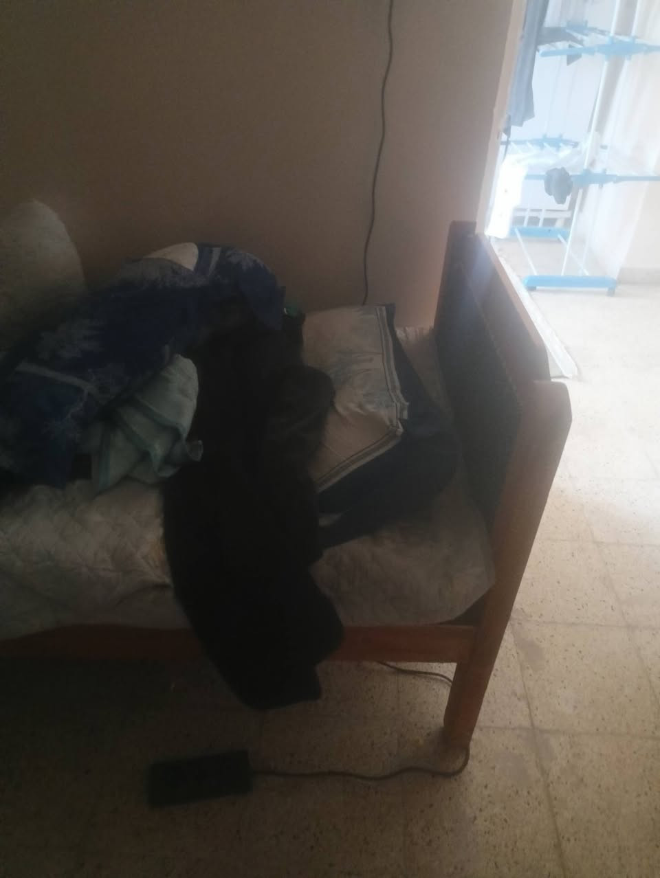 السلام عليكم اغراض للبيع نسبة استخدامهم بس 20%بالمئة
بيع مستعجل  الكنبايات 2 ال تخوتة 3


**إذا كنت صاحب هذا الإعلان وتريد حذفه لأي سبب، رجاءا أرسل رسالة إلى الدعم الفني**