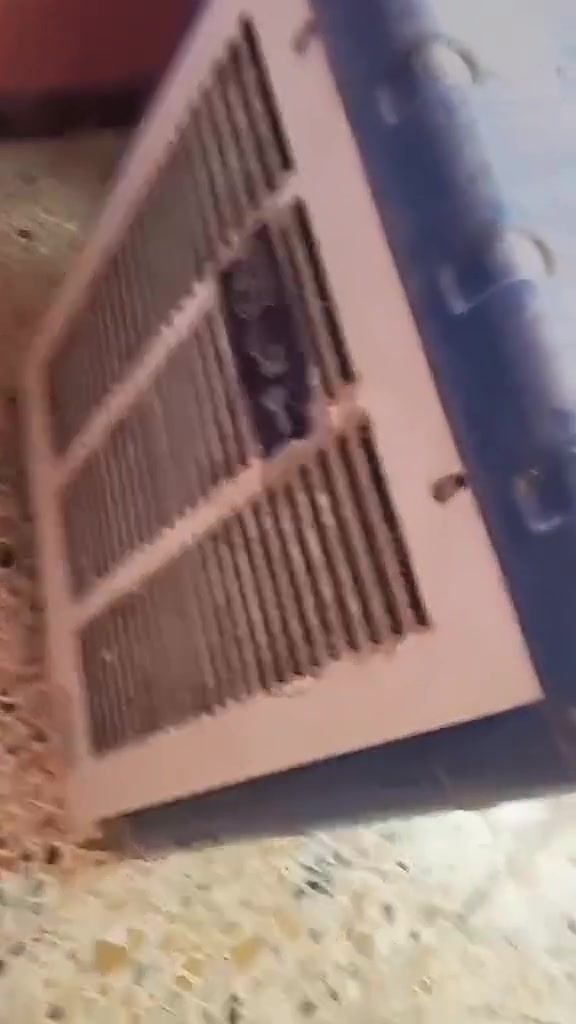 مبرده نضافه فول حجم واحد ونص السعر ٦٥ الف


**إذا كنت صاحب هذا الإعلان وتريد حذفه لأي سبب، رجاءا أرسل رسالة إلى الدعم الفني**