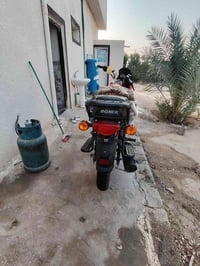 بوكسر جبلي • موديل ٢٠٢٣ • أوراق ضايعة