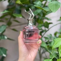 مستحضرات تجميل • عرض • مخفضة