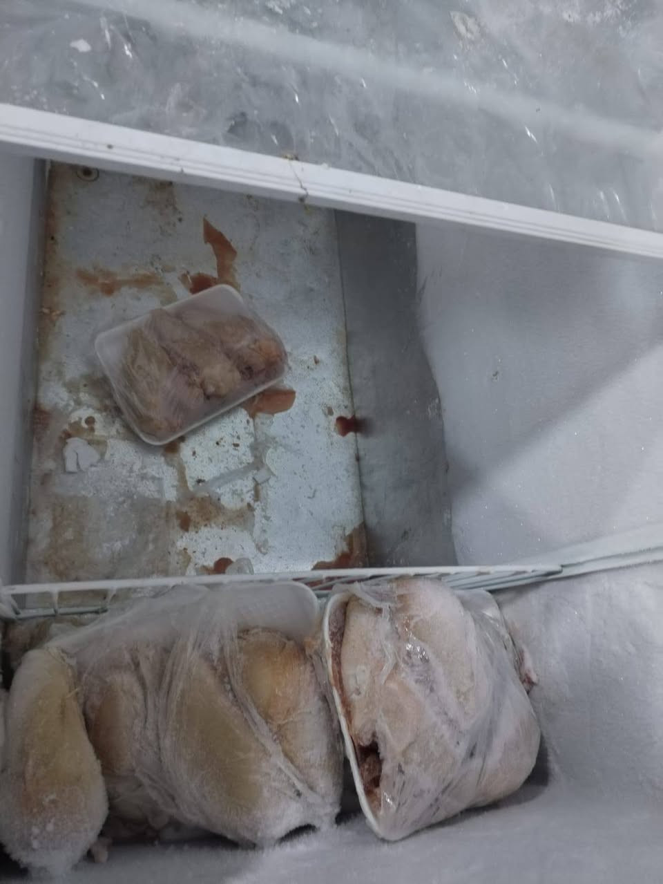 متوفر محل مع كافه الاغراض
المكان بغداد: الدوره، نزله جسر كرارة التواصل ع رقم،
***********
