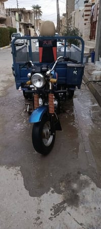 ستوتة • موديل ٢٠ • أوراق كاملة