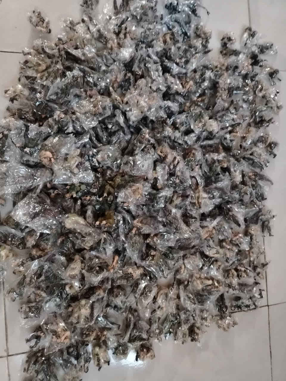 السلام عليكم
مصغرات جنود باشكال مختلفه
العدد 400 قطعه


**إذا كنت صاحب هذا الإعلان وتريد حذفه لأي سبب، رجاءا أرسل رسالة إلى الدعم الفني**