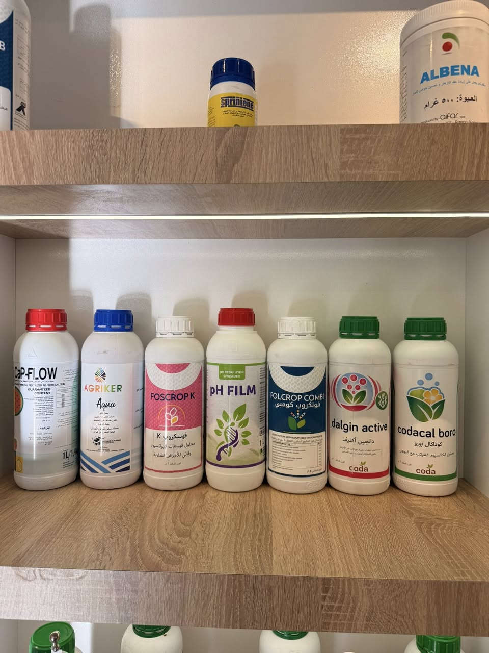 يتوفر لدى مكتب عبدالله الهلال الزراعي 

جميع الاسمدة الورقية والمنشطات الخاصة بحقول الحنطة من مناشئ عالمية 

مبيدات خاصة بالوردة البيضاء
مبيدات جودر (ابو سيوف ) 
مبيدات الصدأ والفطريات 
مبيدات لمكافحة الرويطة والحنيطة
مفسدات البذور لحقول الحنطة

العنوان كركوك قضاء الحويجة طريق المظهورية مقابل مطعم الحمداني

يوجد خدمة توصيل لجميع المحافظات 

***********
***********
