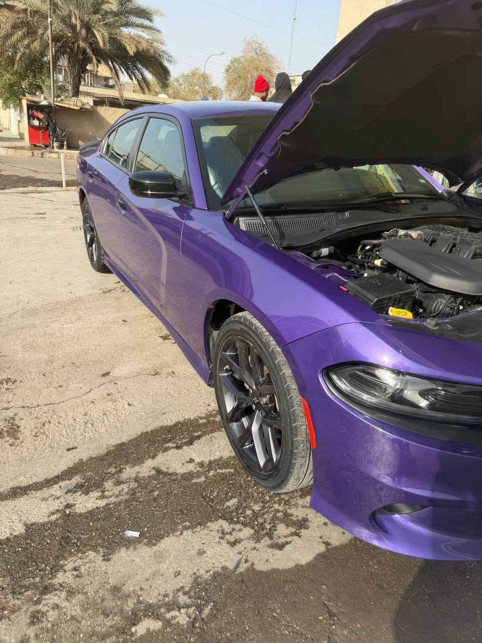 السلام عليكم
جارجر gt 2023 
لون بنفسجي 
رادار 
مري قلاب
كشن حار بارد 
كشن خزن 
كشن جلد 
كشن خلفي تدفئه
ويل ٢٠ 
كلاص حار بارد 
حساس خلفي 
ماشه ٥٥ 
السياره حادثه ربع النيد مصبوغ فقط
السعر 285 مجال بسيط
مكانه بغداد القصر الابيض 
*********** بغداد, العراق
