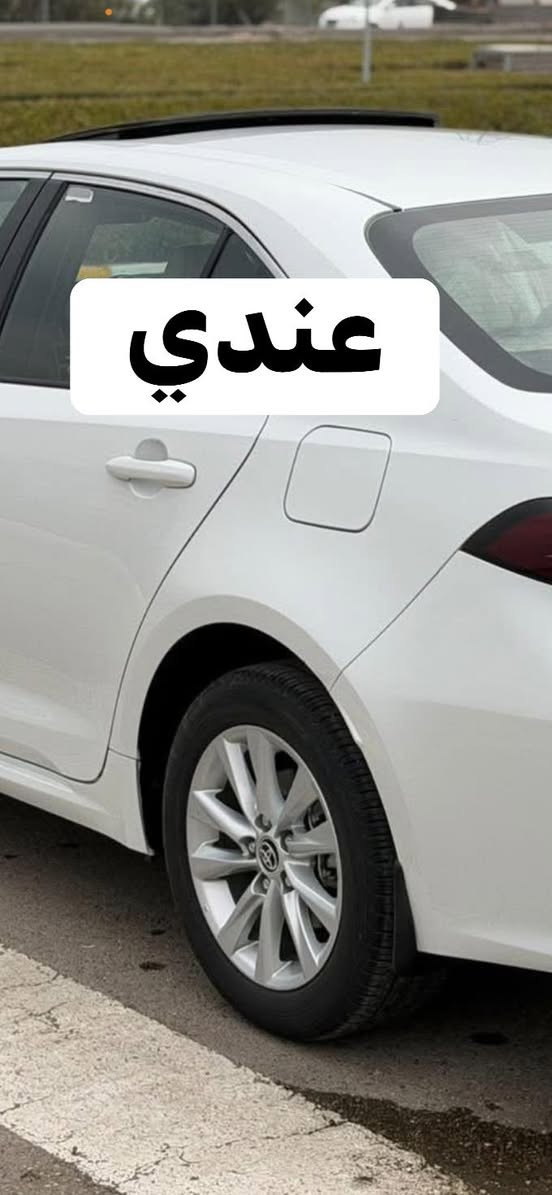 سلام عليكم
عندي تخم ويل كب حجم 16ساز 2024 وبيه تخم تاير توني شاده 
اريد مراوس او بيع بويل كب حجم 17 بس كون مكانه ناصريه ***********
