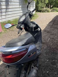 بريز ببغاء للبيع بغداد شاطئ التاجي اتصال على الرقم واتساب07762207515