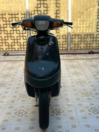 بطة • مفتوحه • بدون اوراق